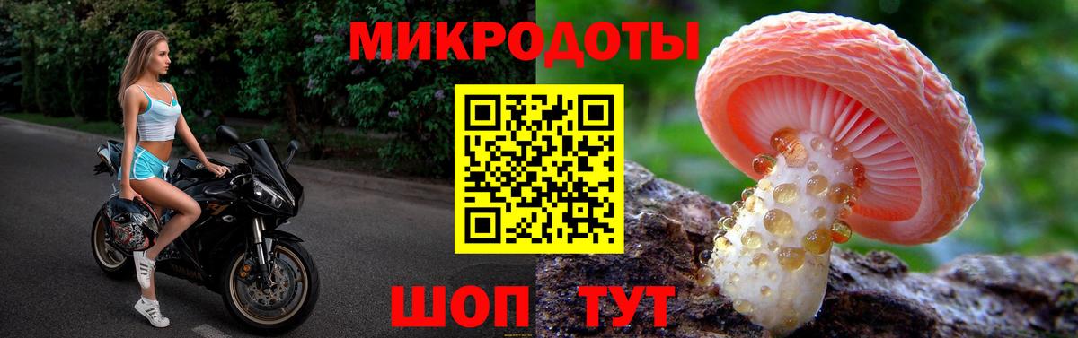 Галлюциногенные грибы GOLDEN TEACHER Чапаевск