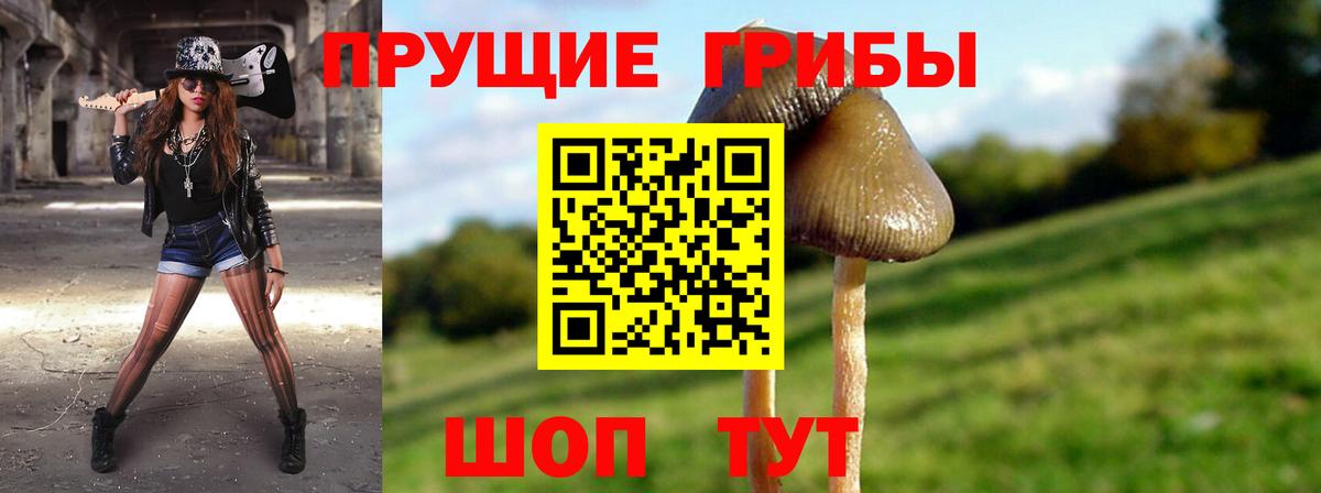 Псилоцибиновые грибы Psilocybe  Вход с VPN  Чапаевск  Галлюциногенные грибы GOLDEN TEACHER 